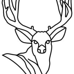 Deer Head, CD-9008, 36