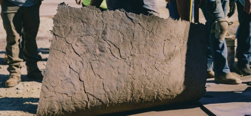 seamless texture skin